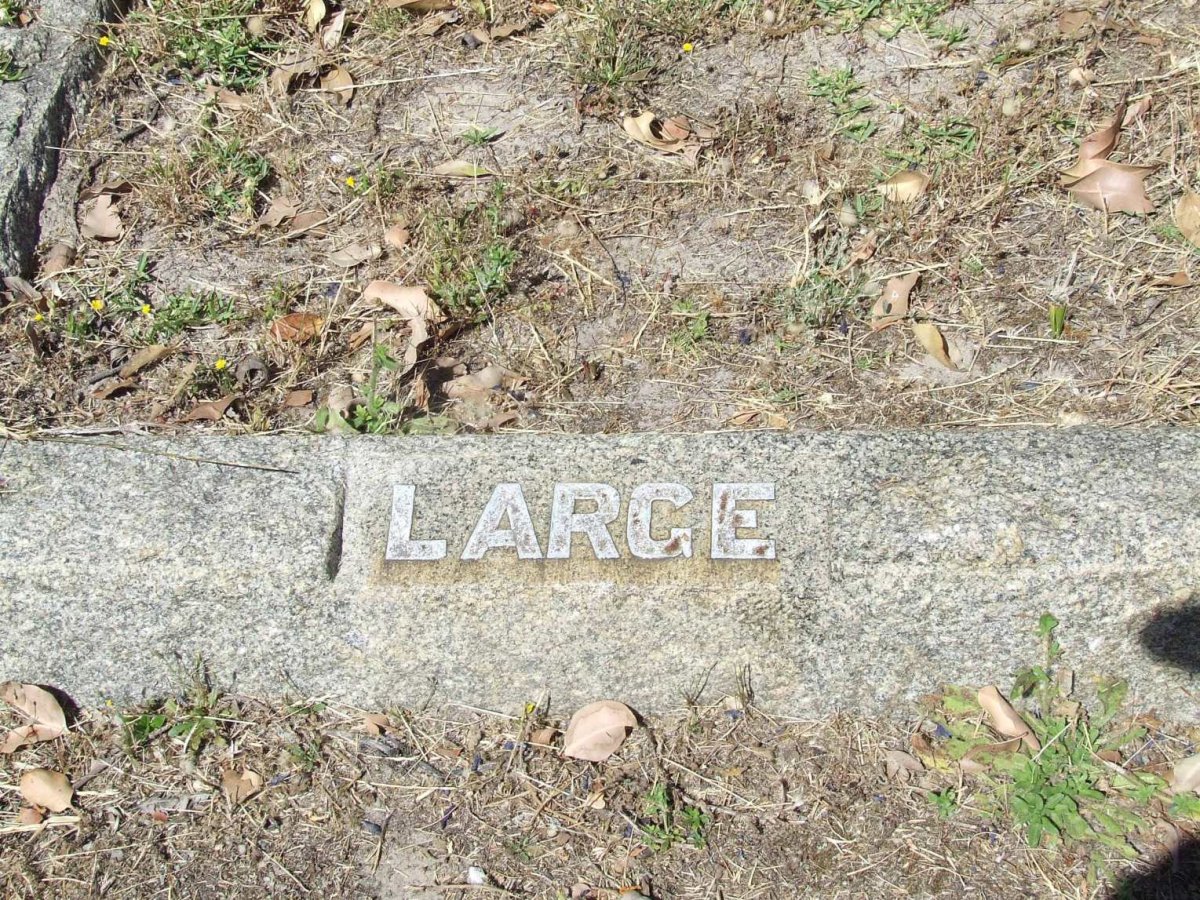 LARGE ?