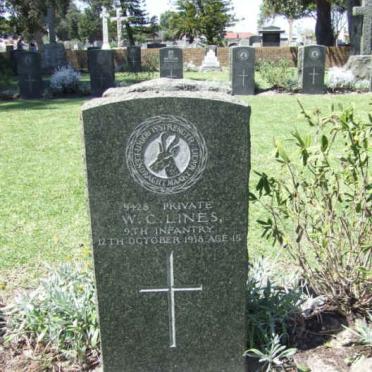 LINES W.C. -1918
