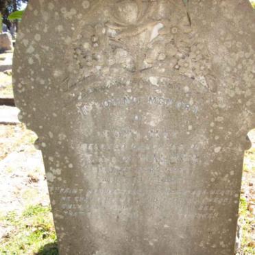 MAXWELL E.M.