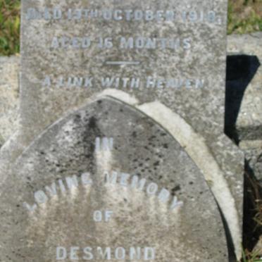 MCMEEKAN Desmond -1918