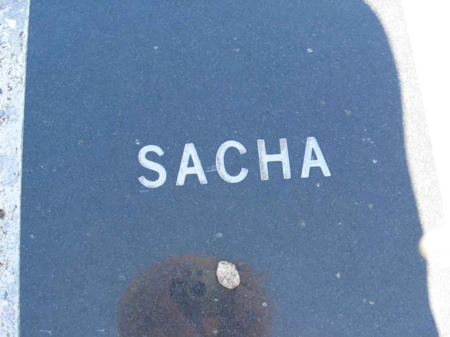 MEYER Sacha