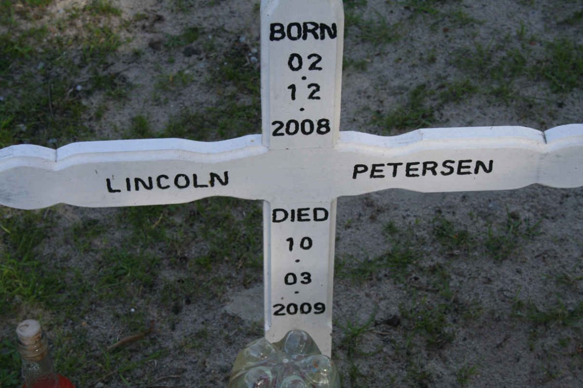 PETERSEN Lincoln 2008-2009