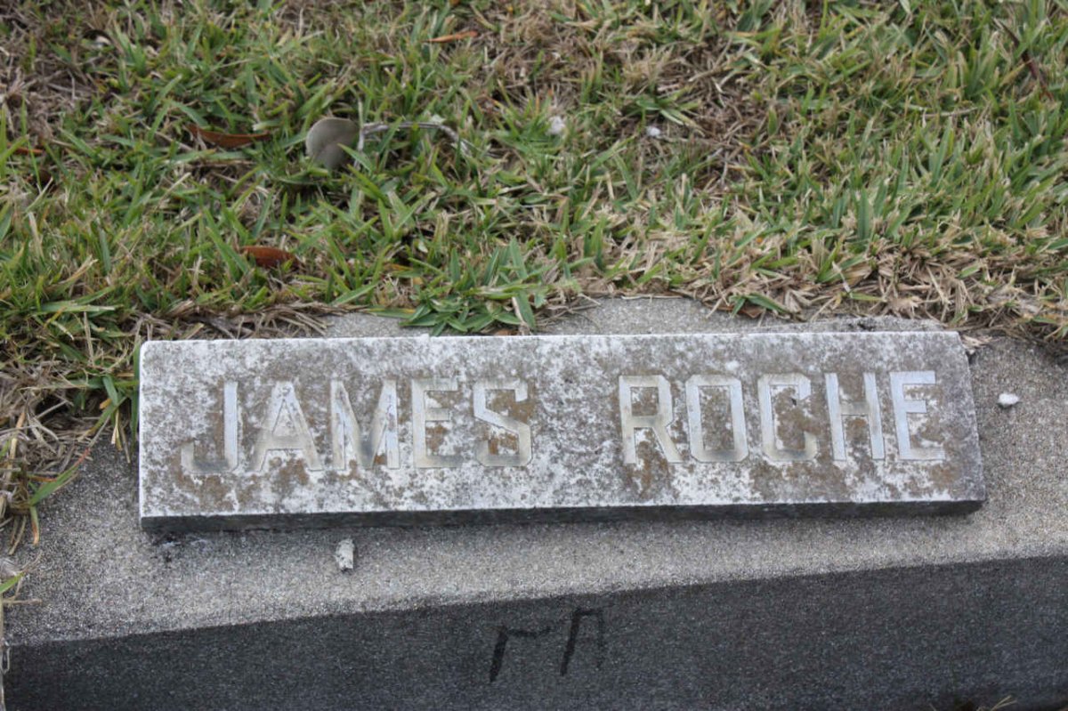 ROCHE James