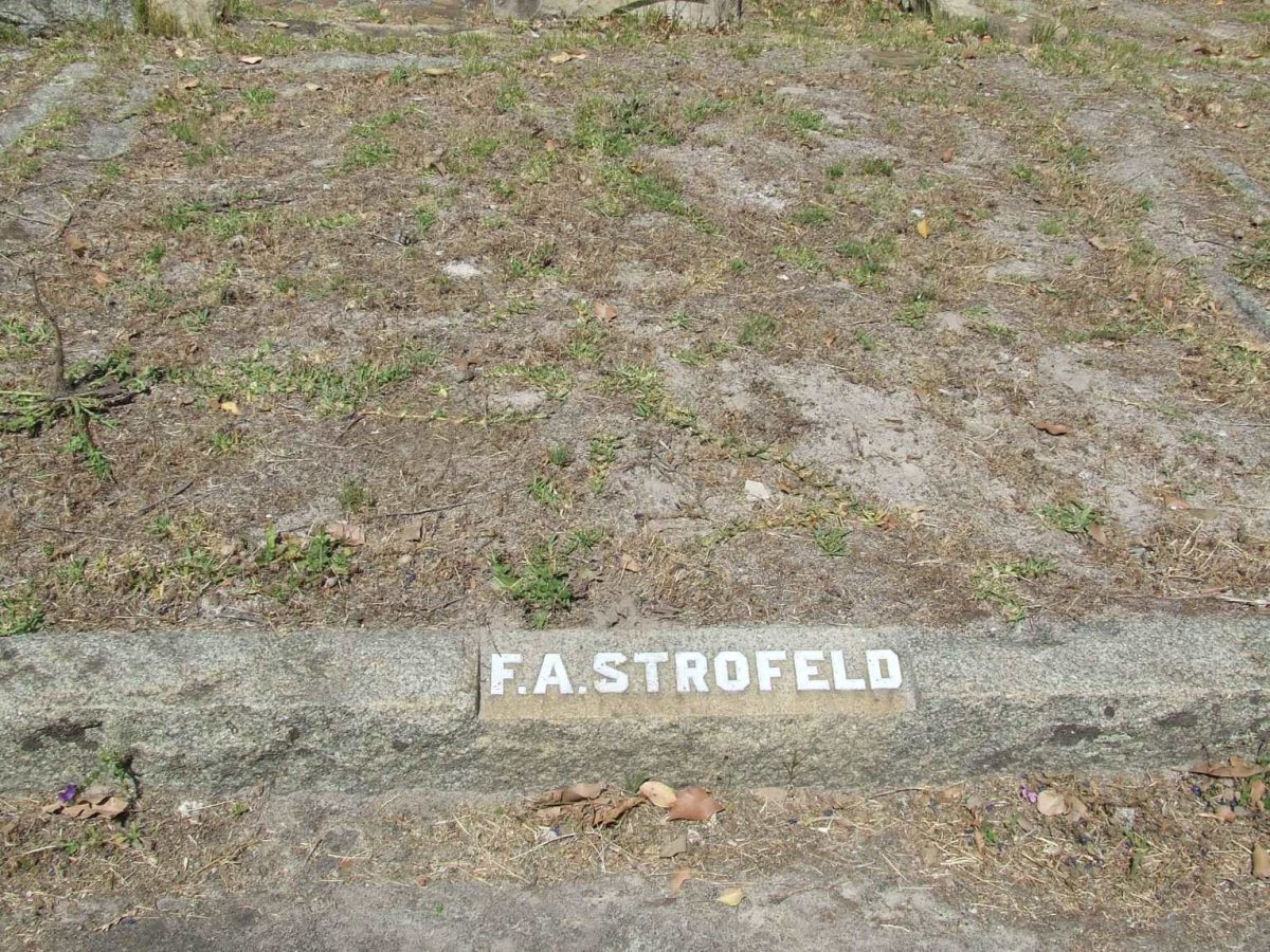 STROFELD F.A.