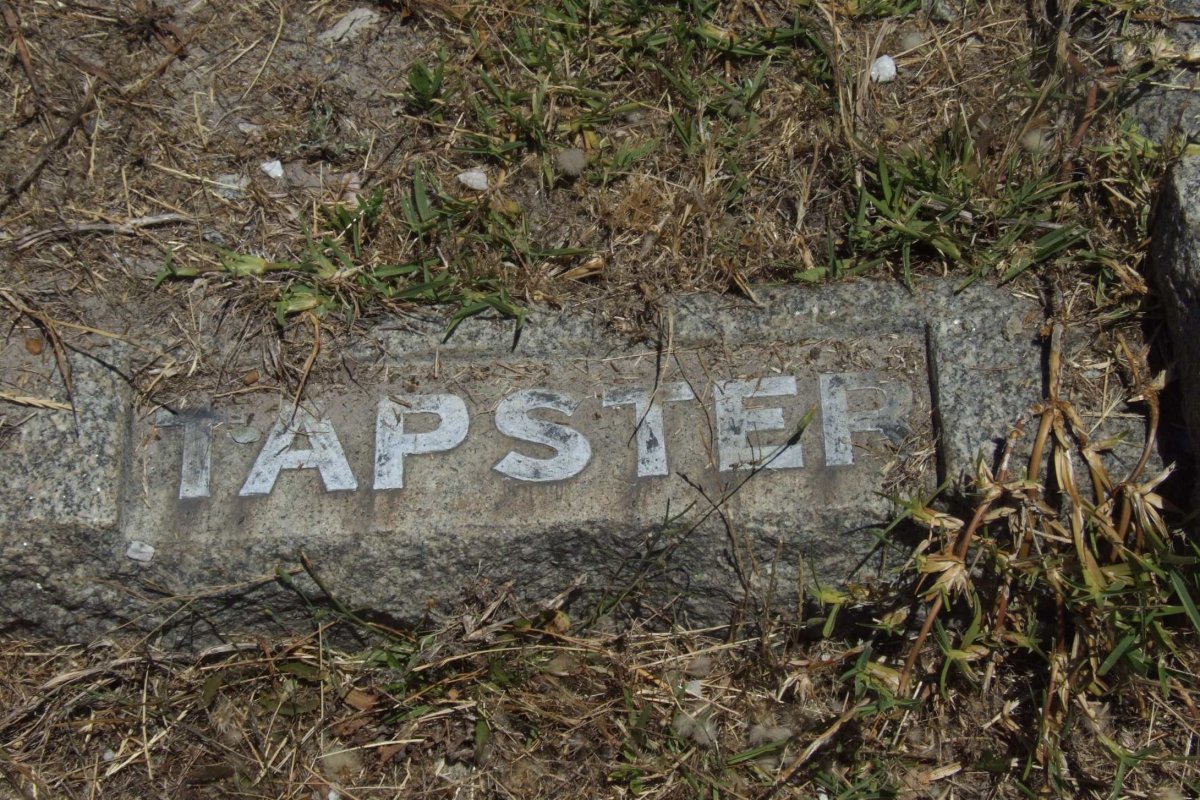 TAPSTER ?