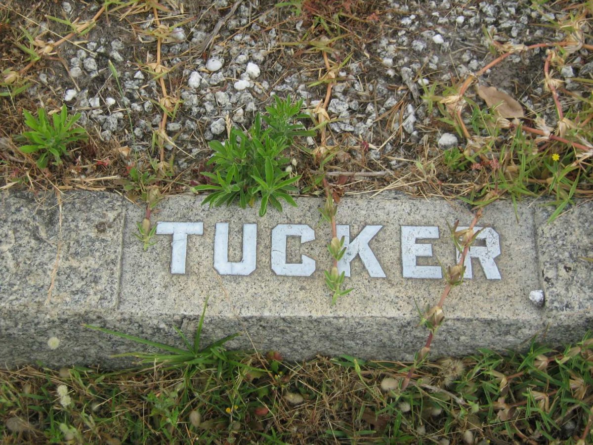 TUCKER ?