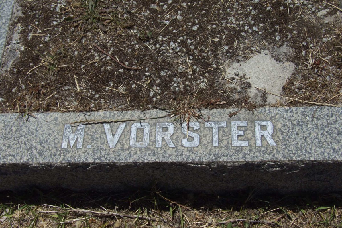 VORSTER M.