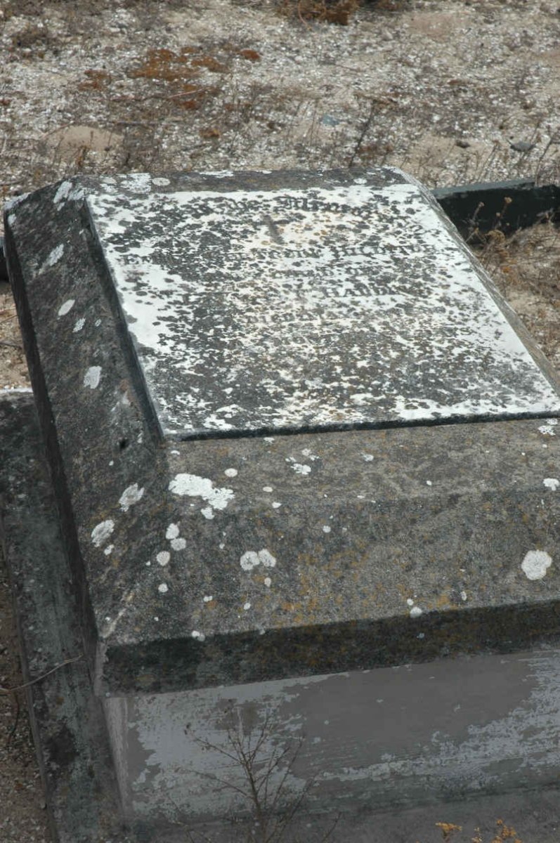 HADDING E. Gertrude H.