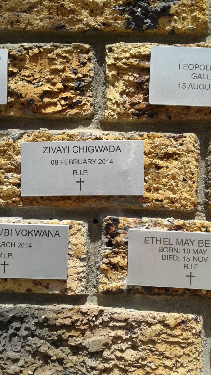 CHIGWADA Zivayi -2014
