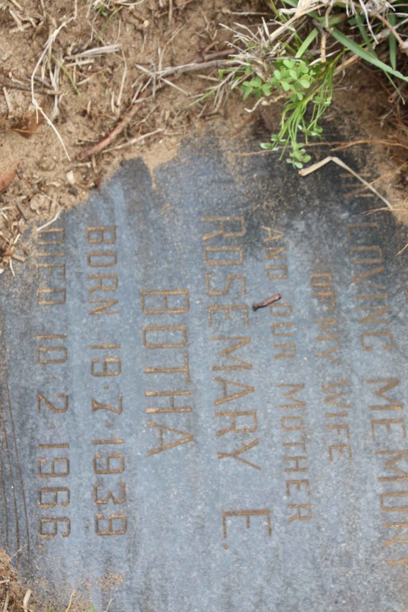 BOTHA Rosemary 1939-1966