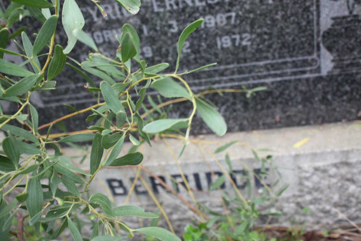 BERRIDGE Cyril Ernest 1907-1972 &amp; Mary Kathleen 1902-1966