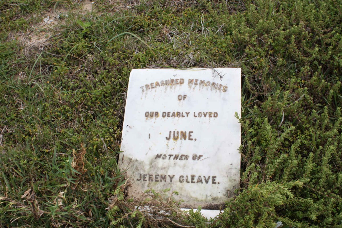 CLEAVE June