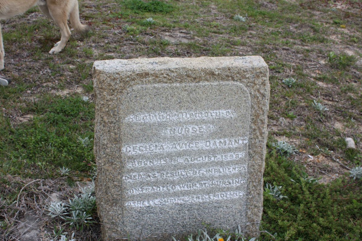 DAMANT Cecilia Avige 1898-?