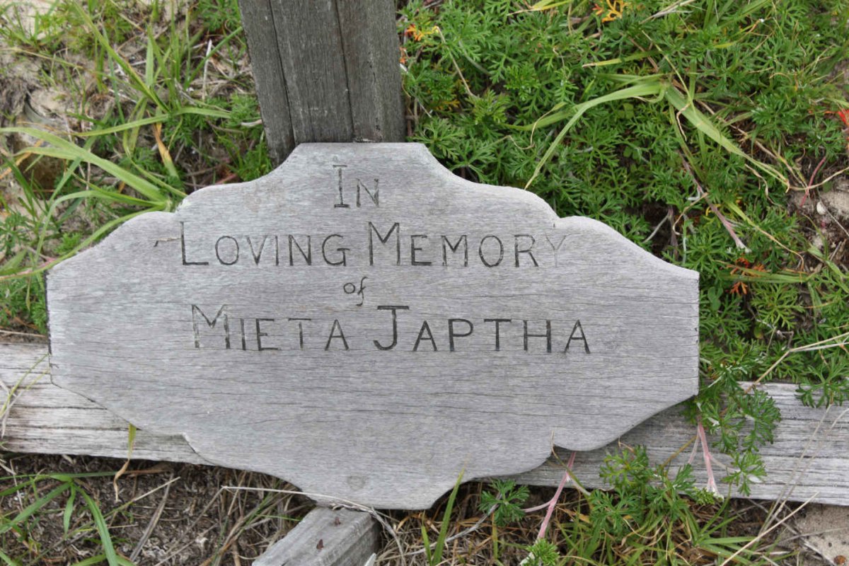 JAPTHA Mieta