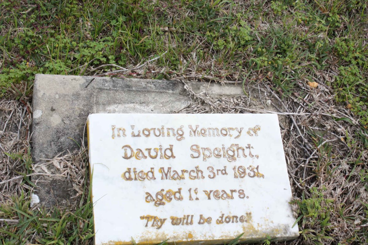 SPEIGHT David -1931
