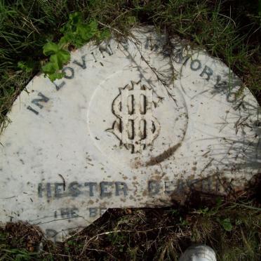 ? Hester Beatrix