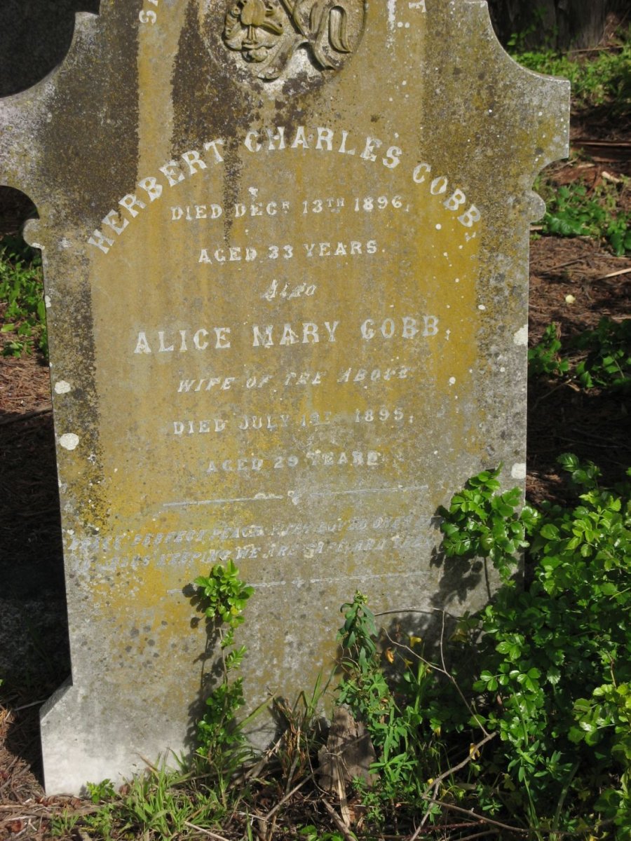 COBB Herbert Charles -1896 &amp; Alice Mary -1895