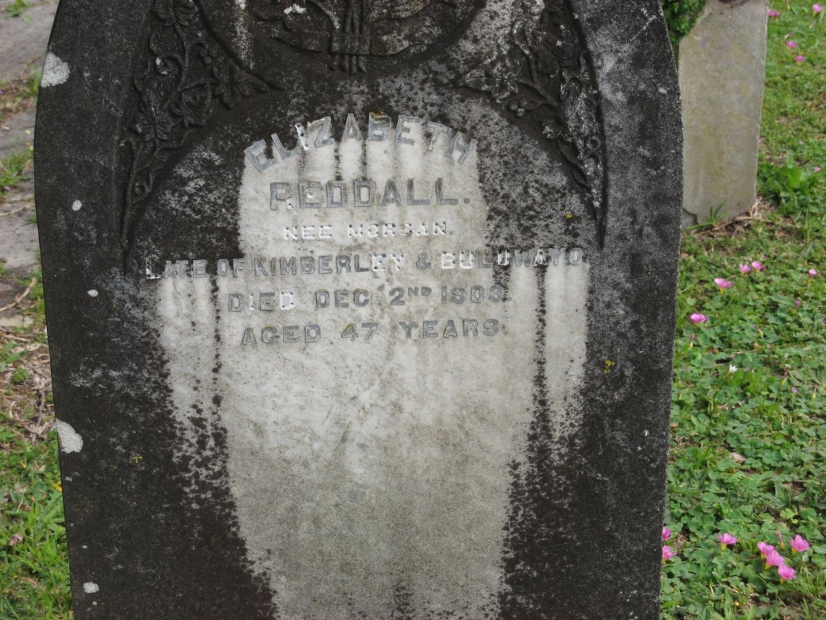 REDDALL Elizabeth nee MORGAN -1903