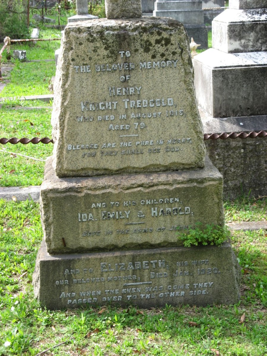 TREDGOLD Henry Knight -1915 &amp; Elizabeth -1920 :: TREDGOLD Ida :: TREDGOLD Emily :: TREDGOLD Harold