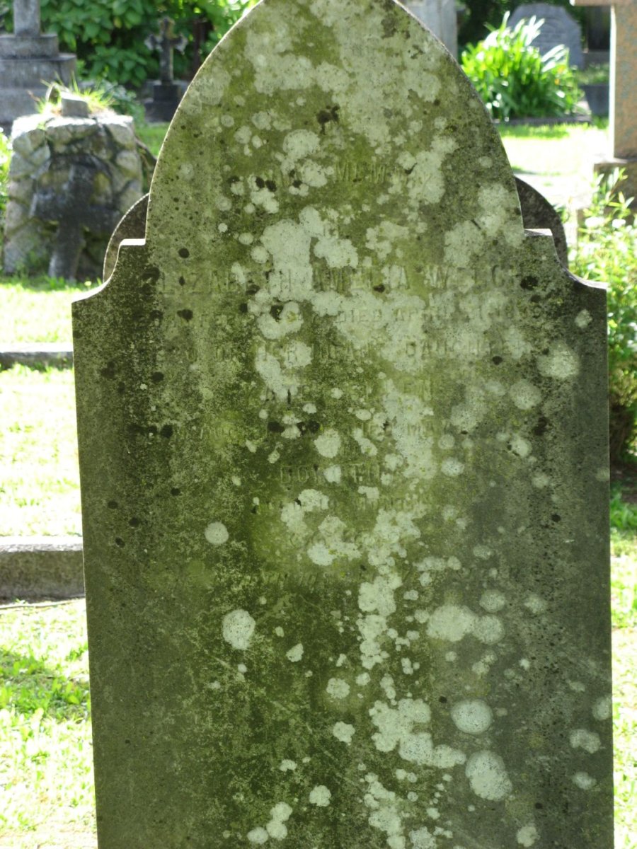 WELCH Elizabeth Amelia -1898