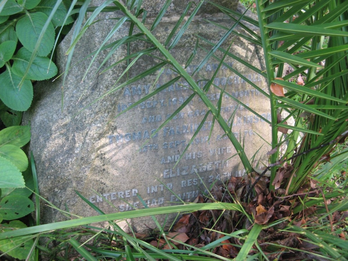 WILKINSON Thomas Falkner  -1917 &amp; Elizabeth :: DOCKRALL Amy Magret -1899