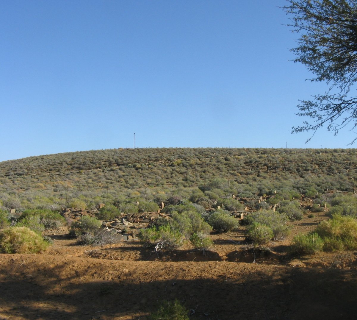 1. Oorsig Bassonsgat