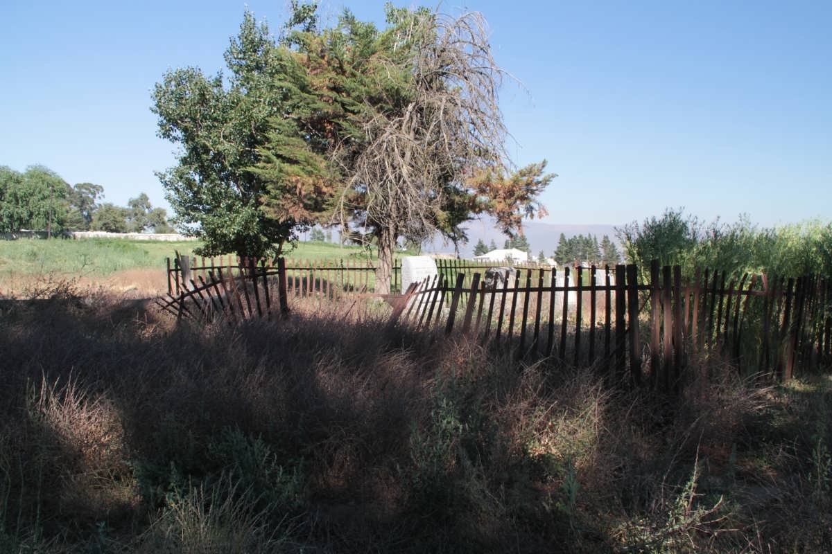 1. Oorsig oor grafte op die plaas Langfontein, Ceres