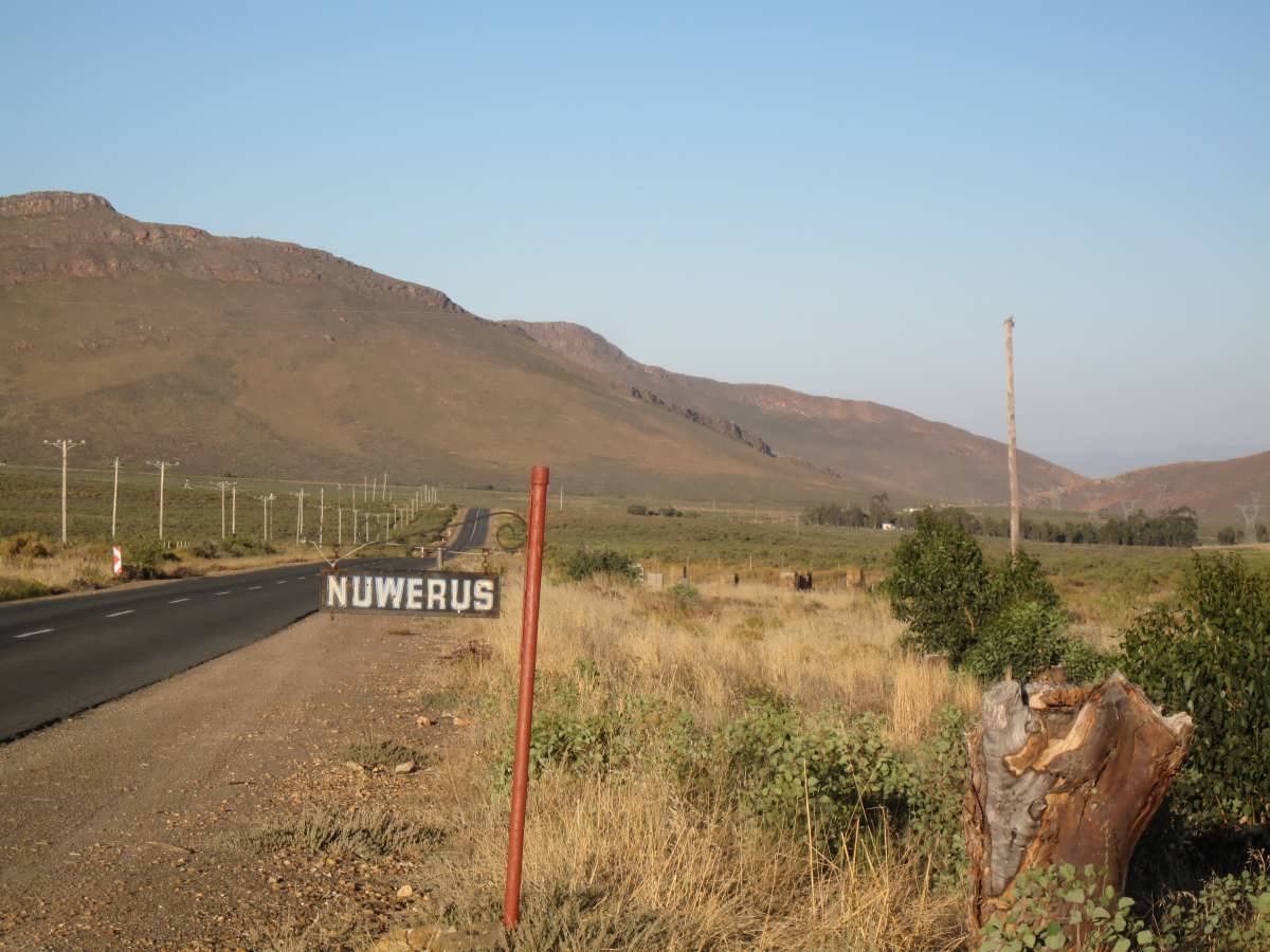 1. Nuwerus