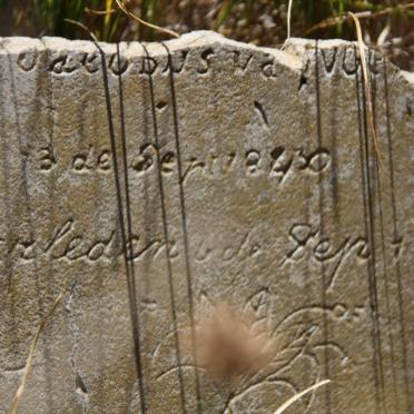 ? Johannes Jacobus 1840-1883