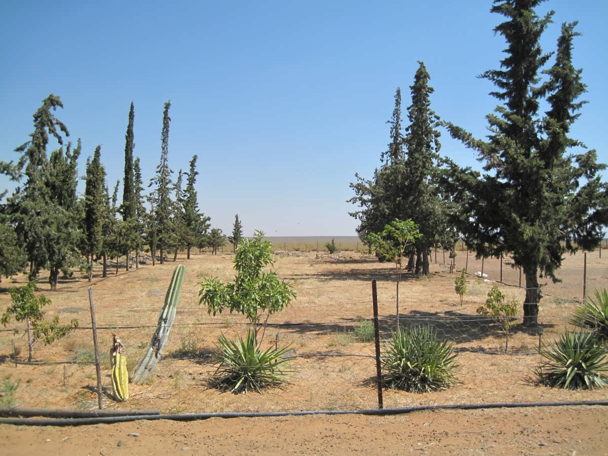 3. Oorsig oor grafte by Platfontein Begraafplaas