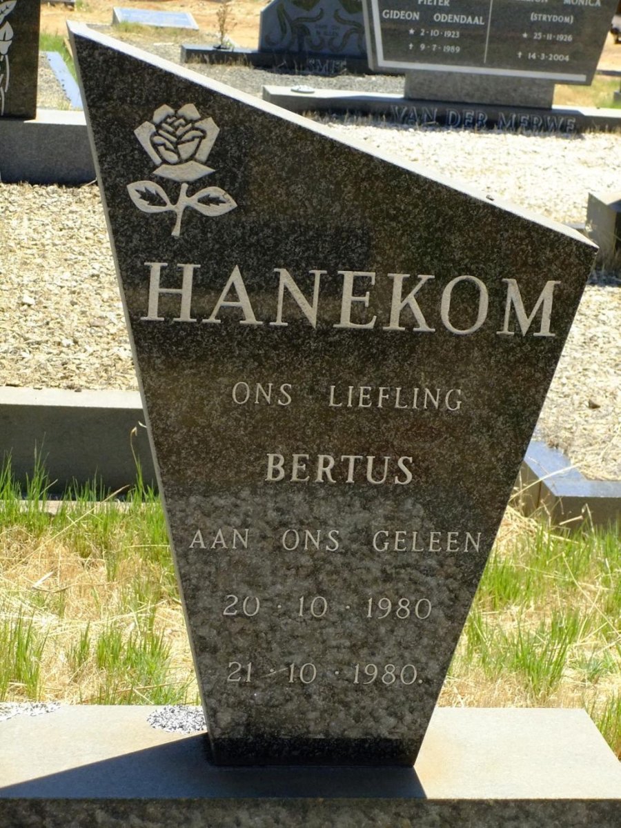HANEKOM Bertus 1980-1980