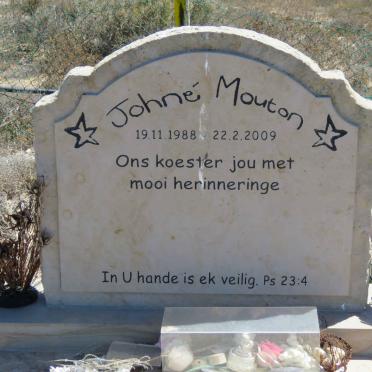 MOUTON Johné 1988-2009
