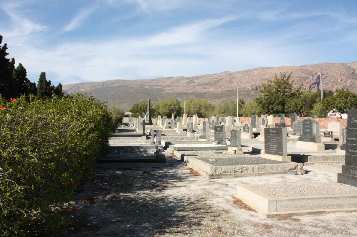 4. Overview