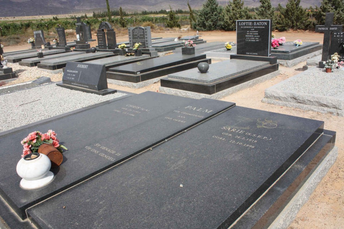 PALM C.A. 1915-1996 &amp; S.S.E.P. 1916-1996