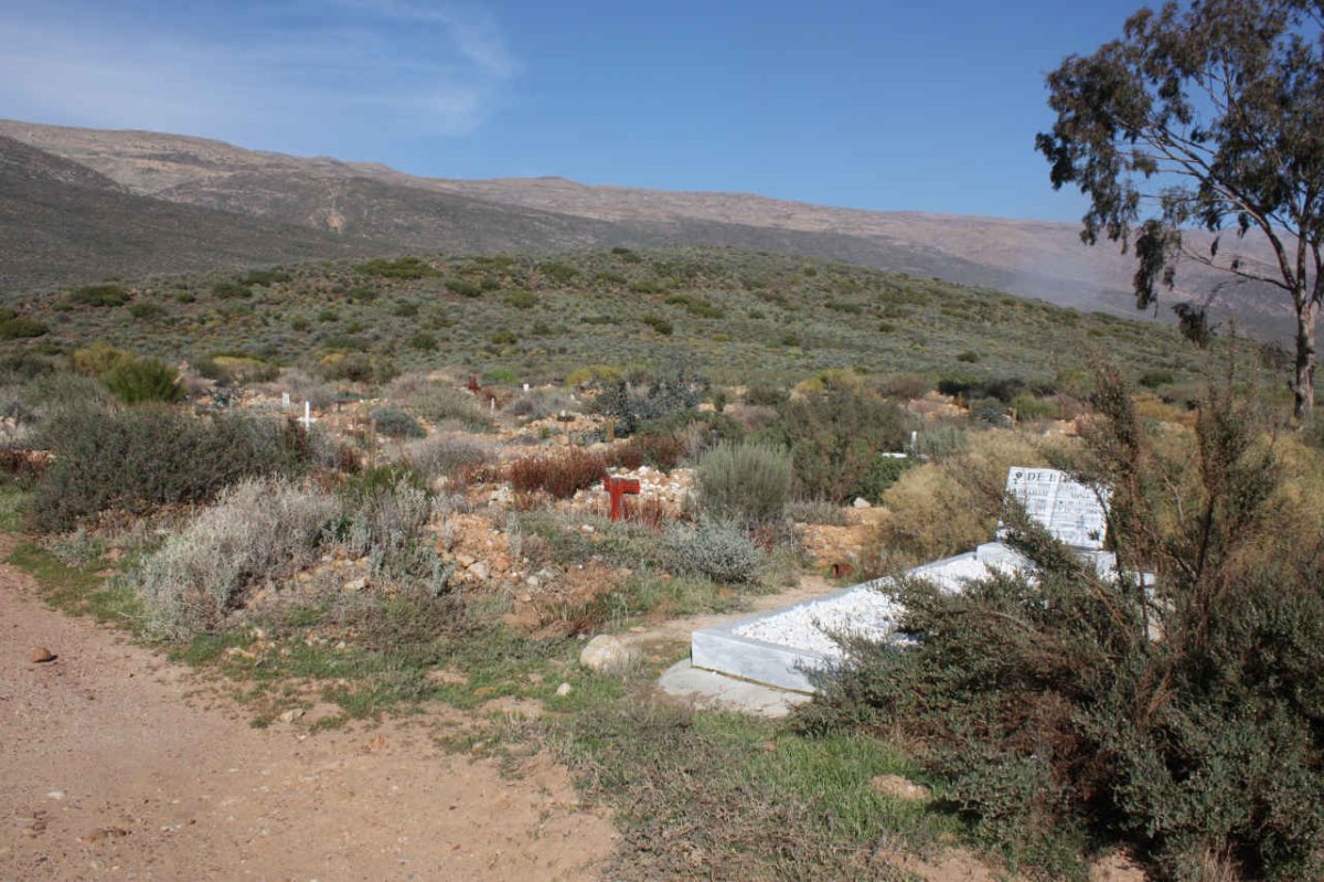 2. Overview