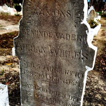 WILLES Adrian 1870-1947