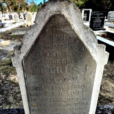 BAILY Petrus J. 1930-1994