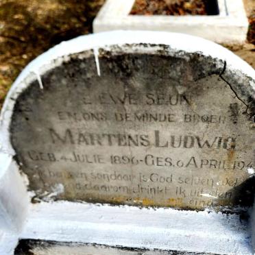 LUDWIG Martens 1896-194?