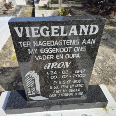 VIEGELAND Aron 1947-2000