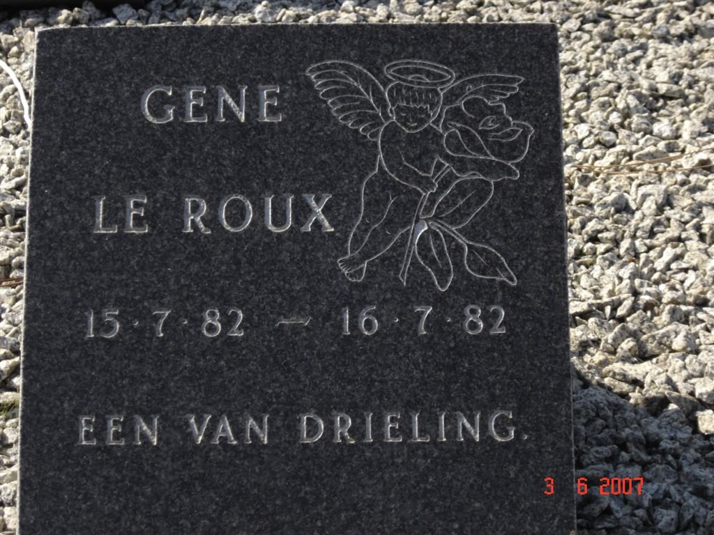 ROUX Gene, le 1982-1982
