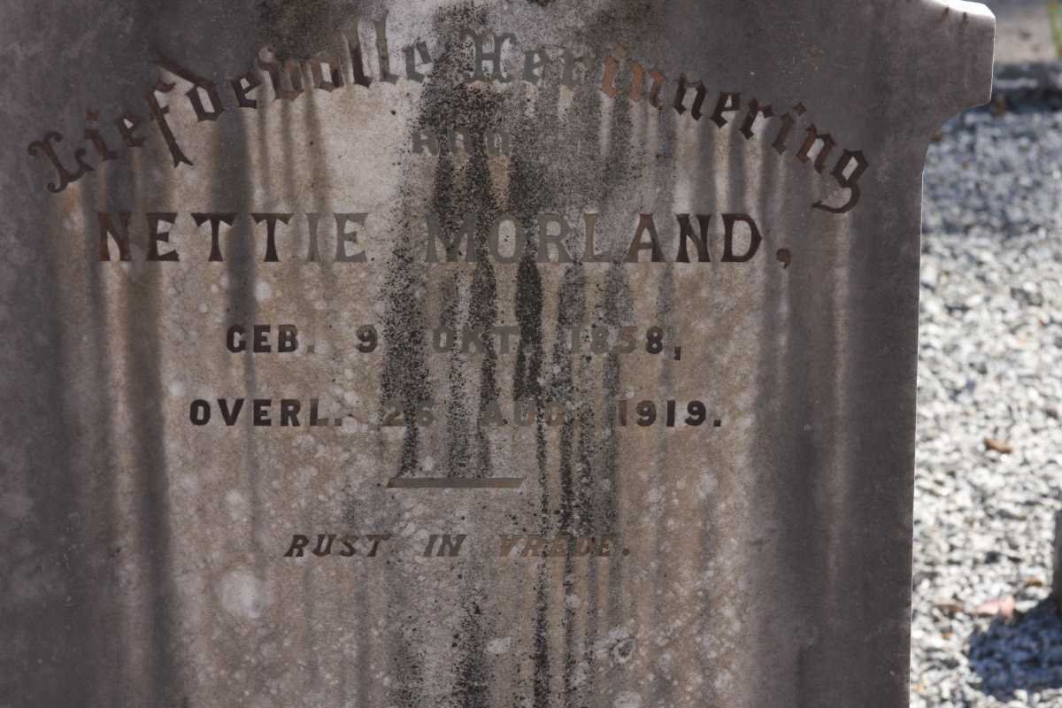 MORLAND Nettie  1858-1919