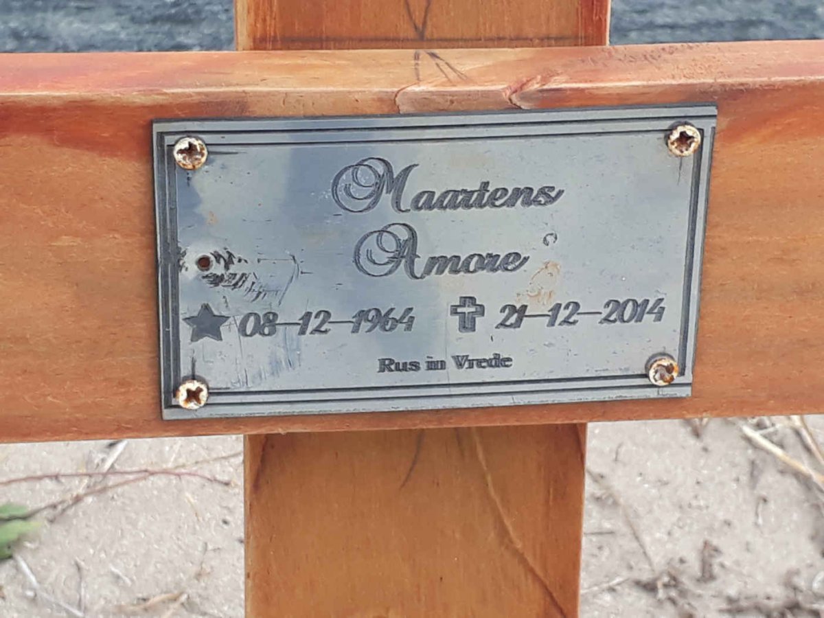 MAARTENS Amore 1964-2014