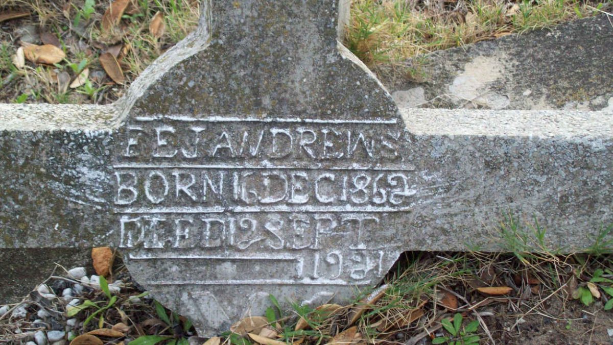 ANDREWS F.E.J. 1862-19?1