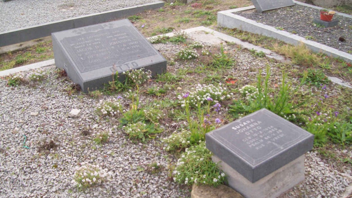 OTTO Jacob D.T. 1894-1974 &amp; Johanna C. 1900-1981 :: OTTO Susara Johanna 1934-1985