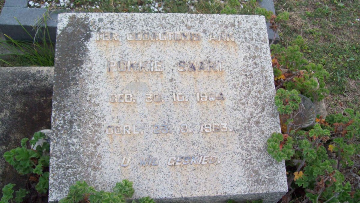 SWART Pokkie 1904-1963