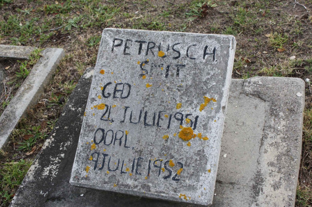 SMIT Petrusch 1951-1952