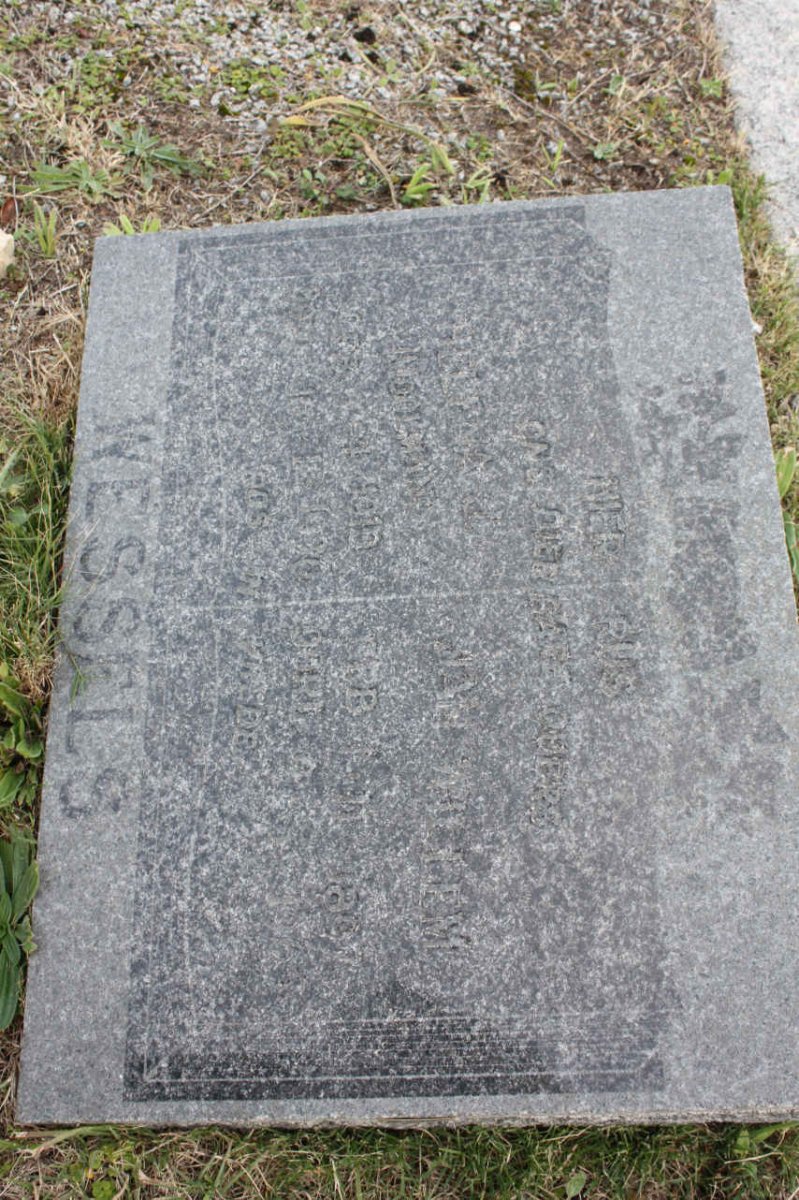 WESSELS Jan Willem 1897-1965 &amp; Helena J. MOOLMAN 1910-1936  