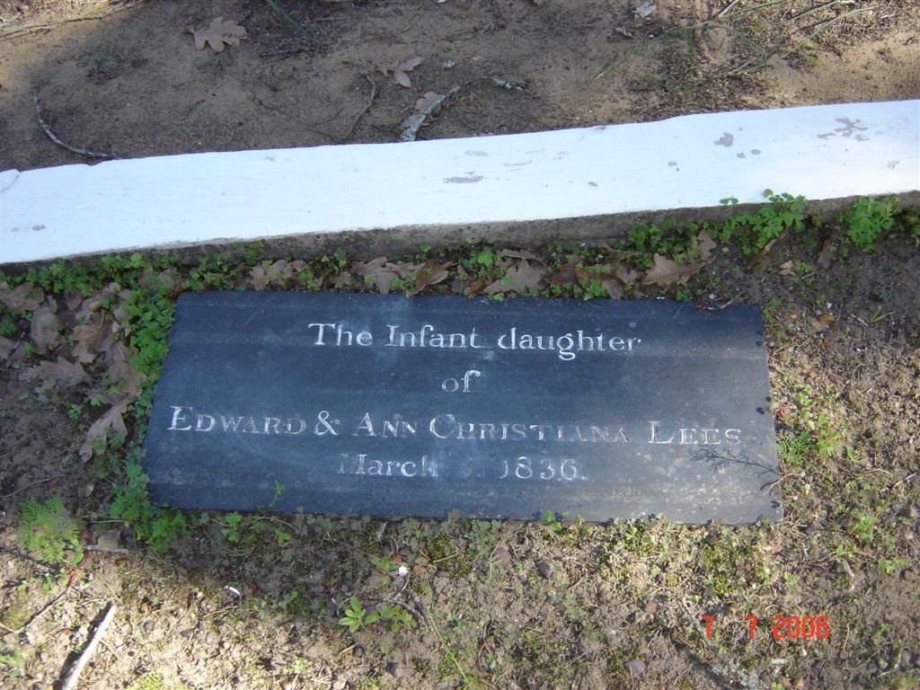 LEES Baby 1836-1836