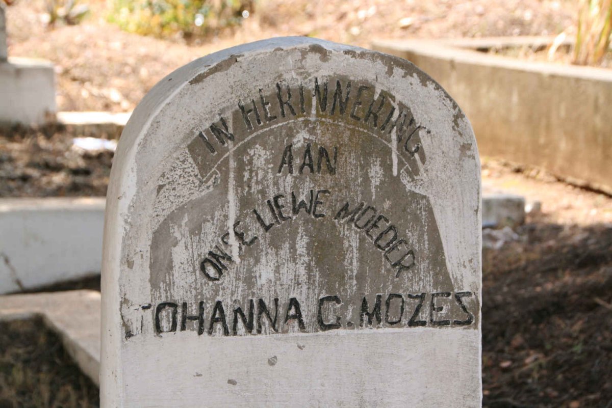 MOZES Johanna C.