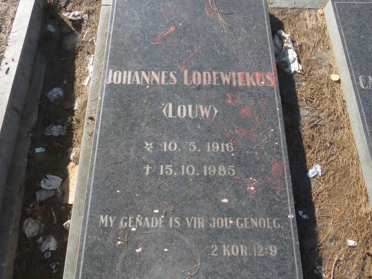 ? Johannes Lodewiekus 1916-1985